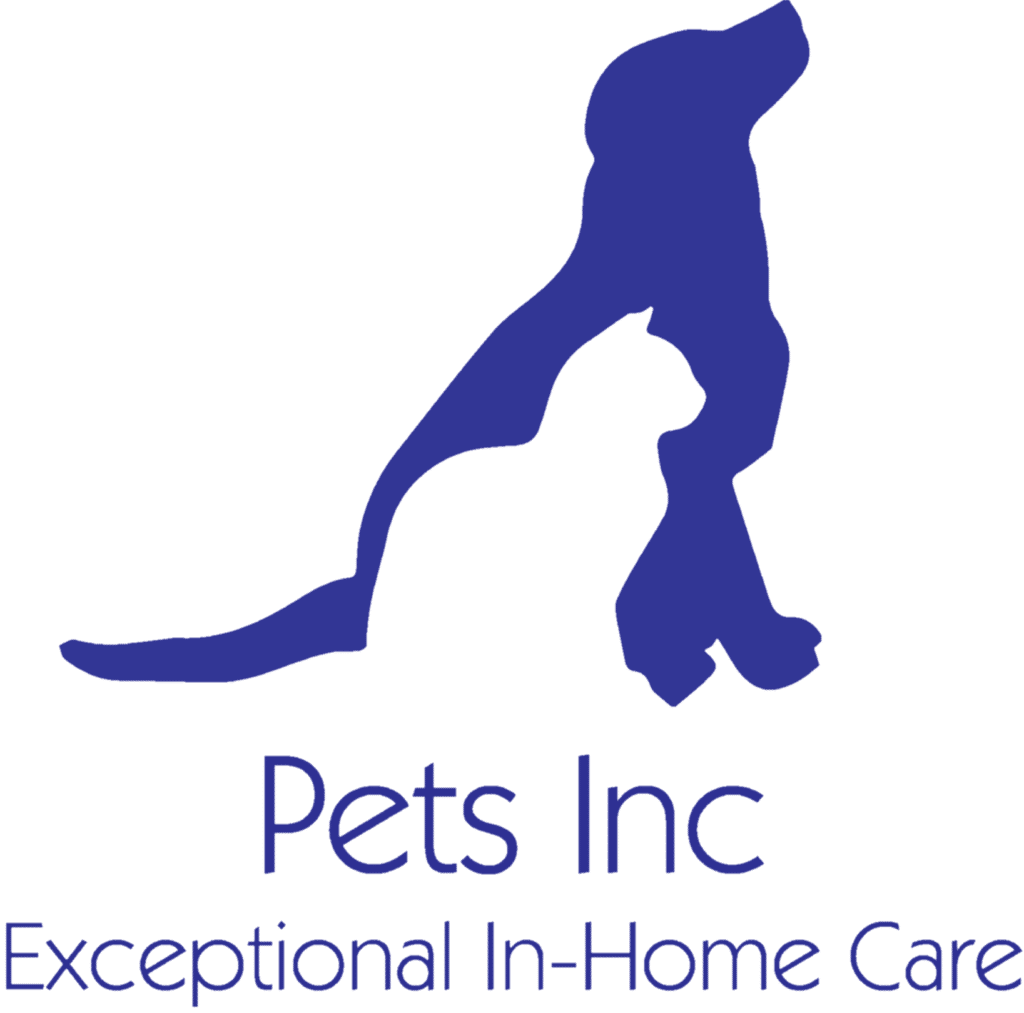 Veterinary technician providing in-home nursing care to a pet
